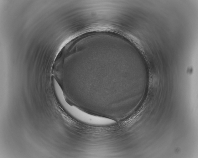 X0000093471226200710261035