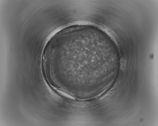 X0000093471229200710261036