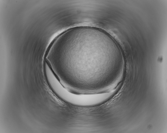 X0000093471230200710261036