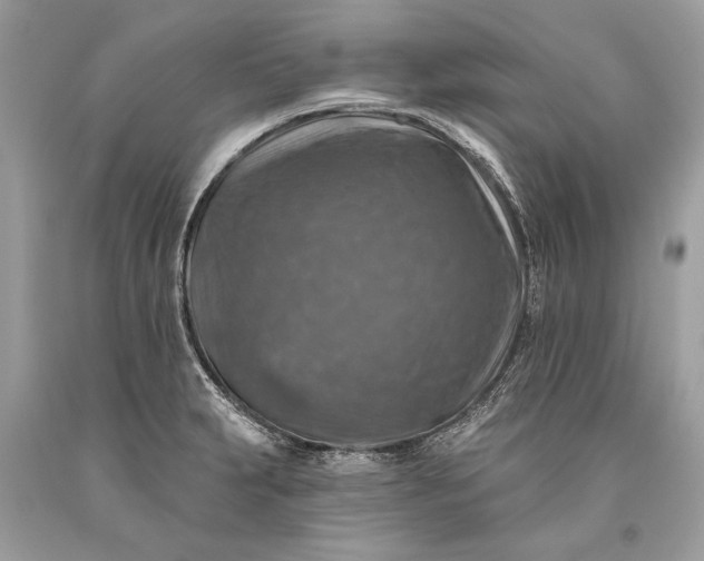 X0000093471231200710261036