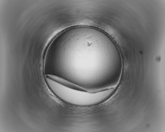 X0000093471232200710261036