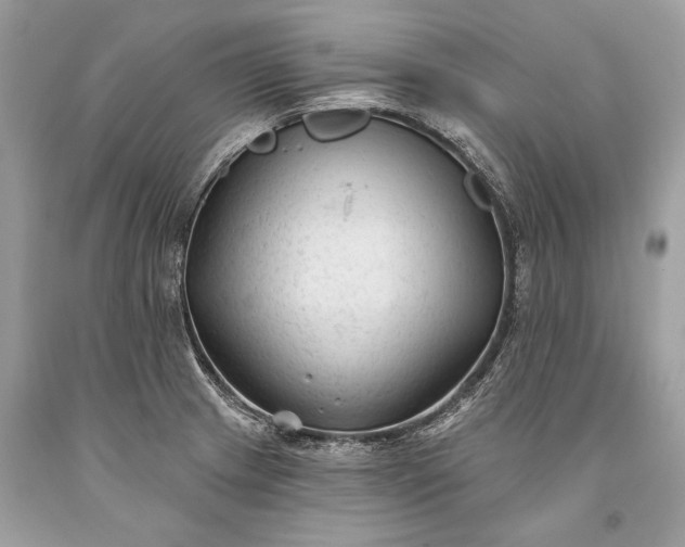 X0000093471233200710261036