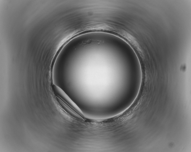 X0000093471234200710261036