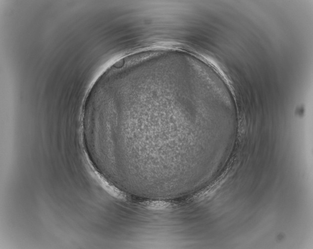 X0000093471235200710261036