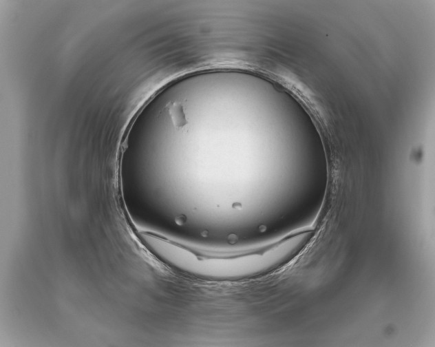 X0000093471236200710261036