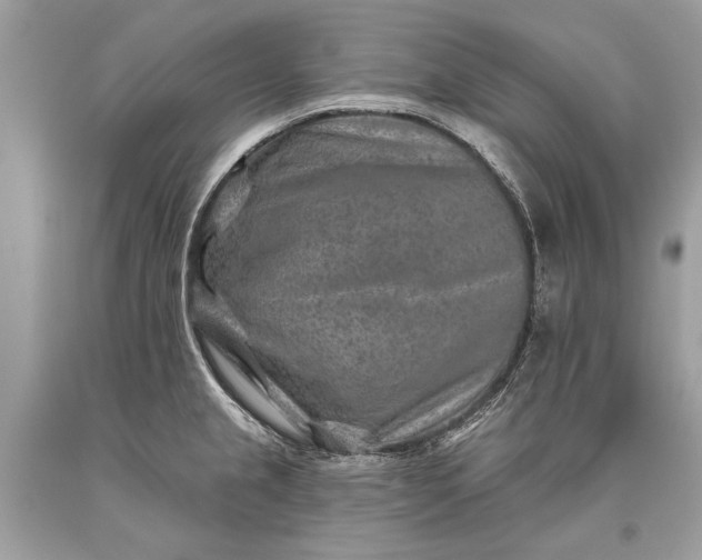 X0000093471237200710261036