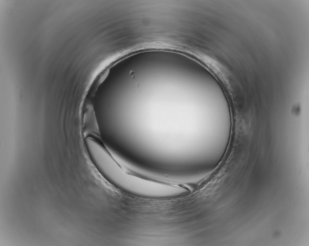 X0000093471238200710261036