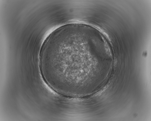 X0000093471239200710261036