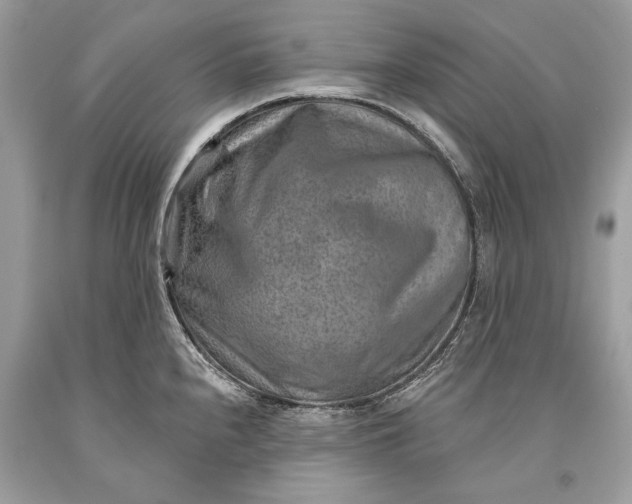 X0000093471240200710261036