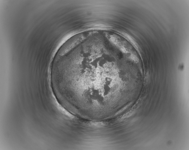 X0000093471243200710261036