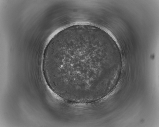 X0000093471245200710261036