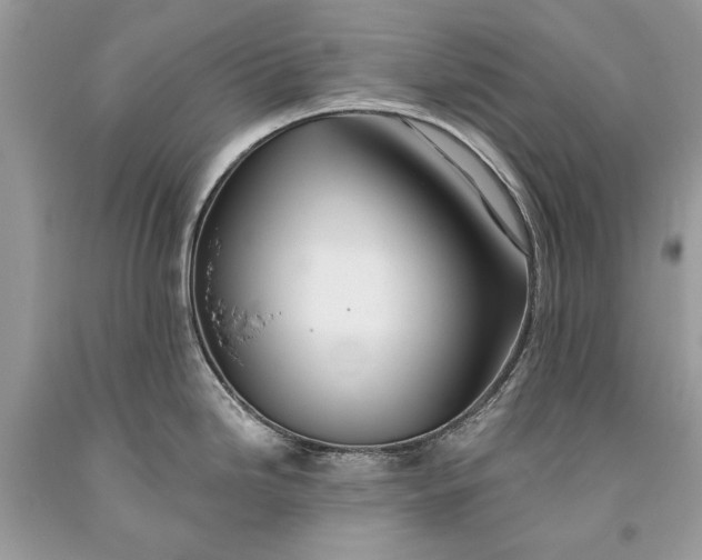 X0000093471246200710261036