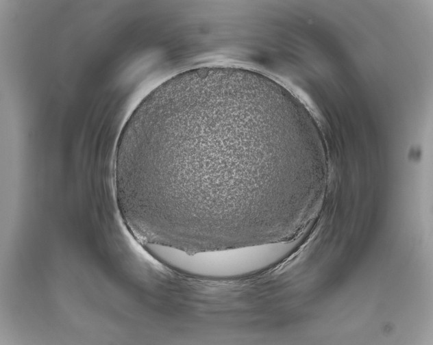 X0000093471247200710261036