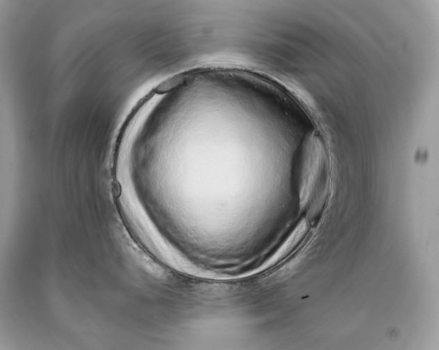 X0000093471248200710261036