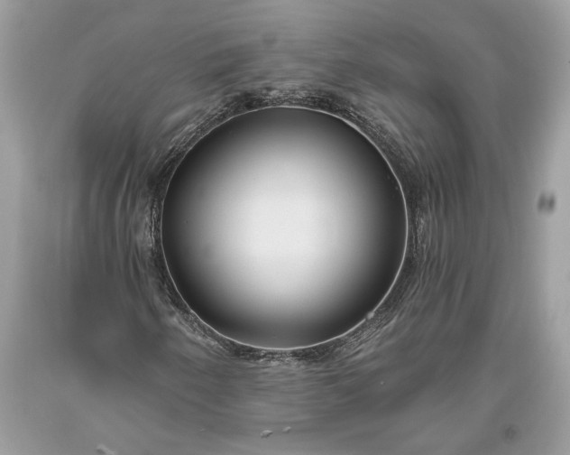 X0000093471250200710261035