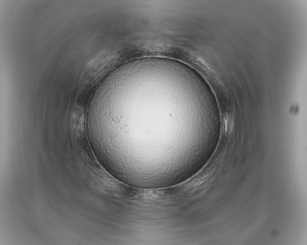 X0000093471251200710261035