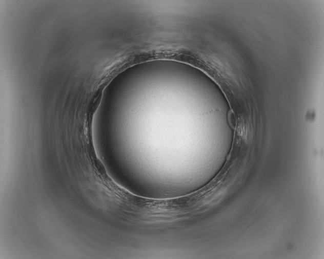 X0000093471252200710261035