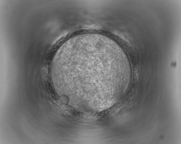 X0000093471254200710261035