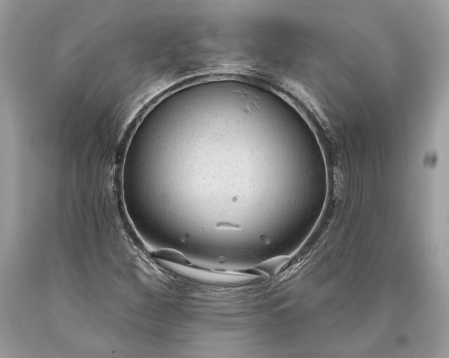 X0000093471260200710261035