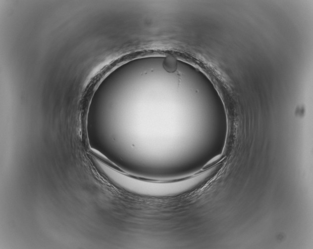 X0000093471262200710261035