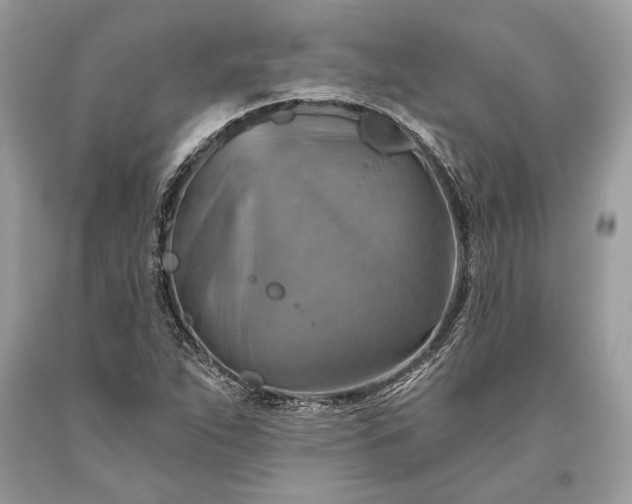 X0000093471263200710261035