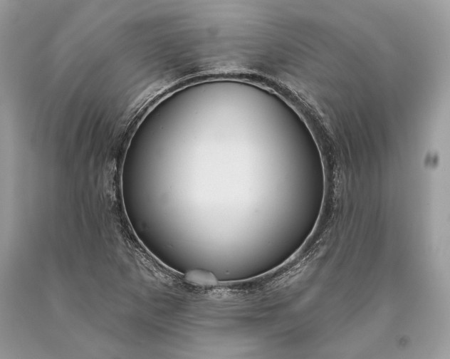 X0000093471265200710261035