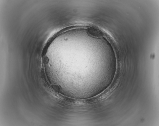 X0000093471267200710261035