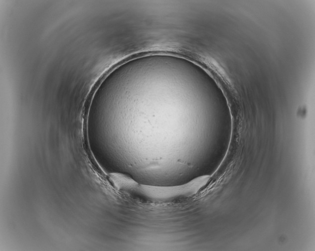 X0000093471268200710261035