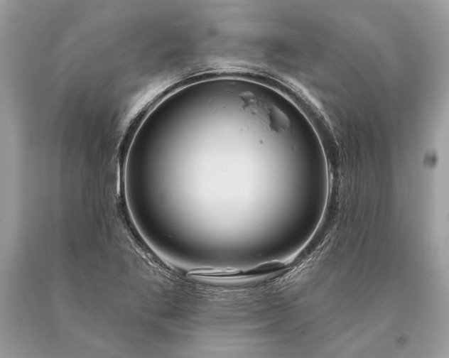 X0000093471269200710261035