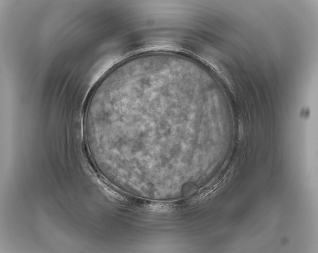 X0000093471274200710261035