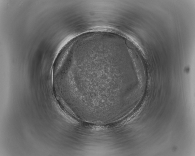 X0000093471275200710261035