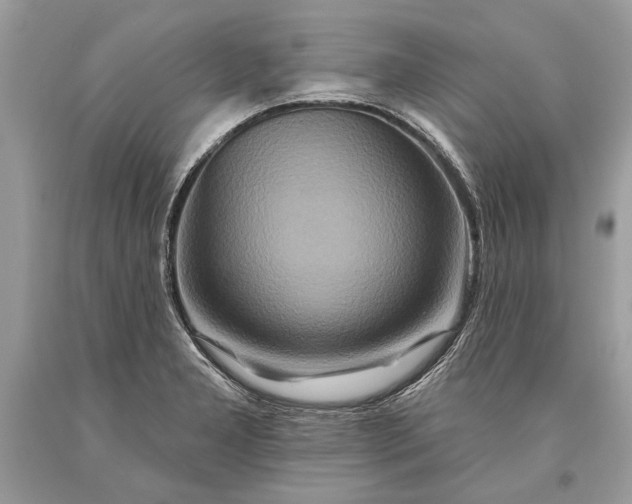 X0000093471277200710261035