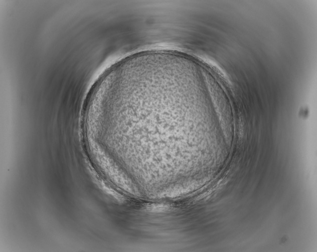 X0000093471278200710261035