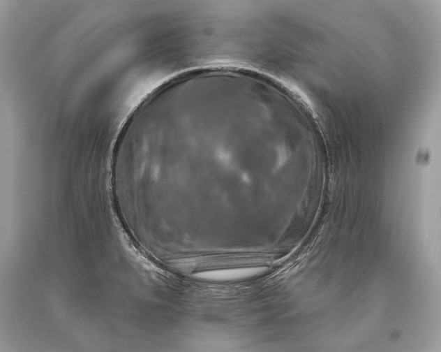 X0000093471279200710261035