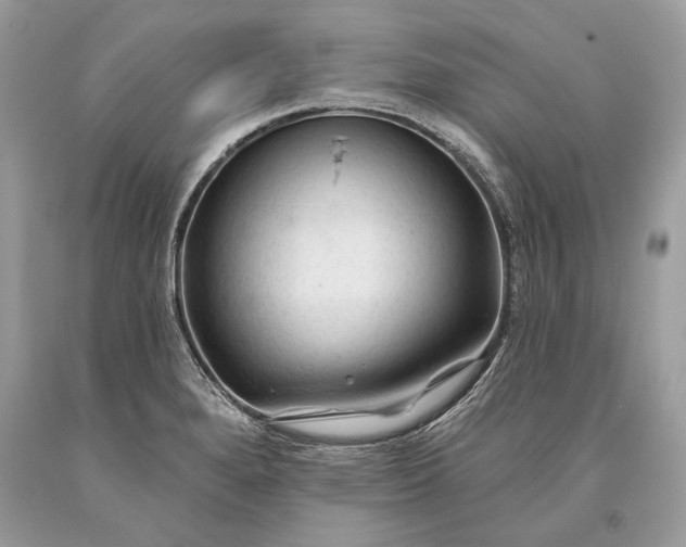 X0000093471280200710261035