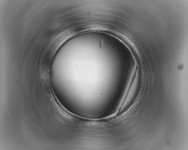 X0000093471281200710261035