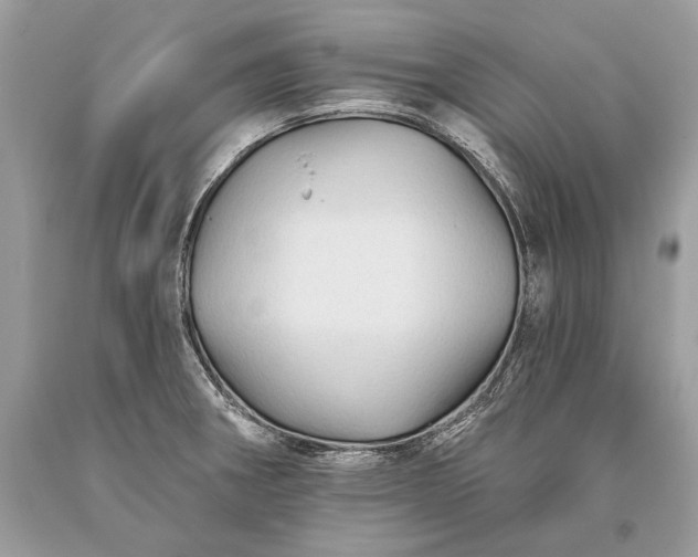 X0000093471282200710261035