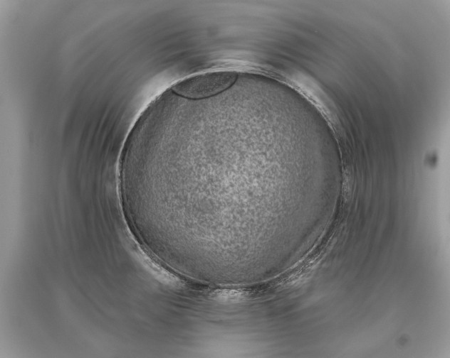 X0000093471283200710261035