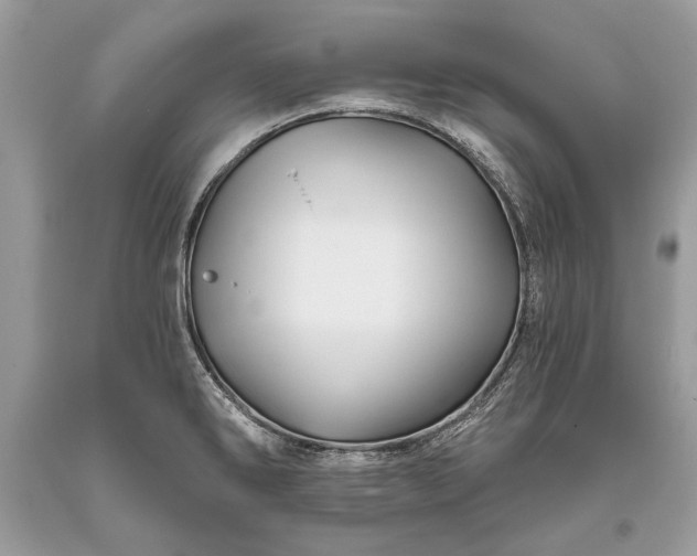 X0000093471286200710261035