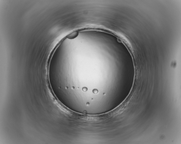 X0000093471287200710261035