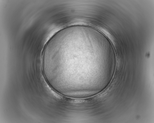 X0000093471290200710261035