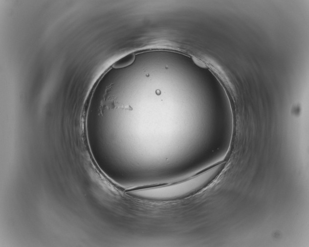 X0000093471292200710261035