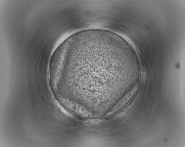 X0000093471294200710261034