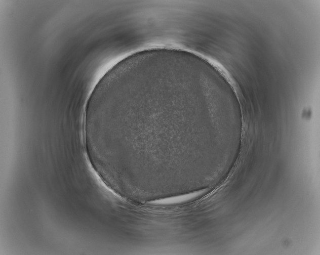 X0000093471295200710261034