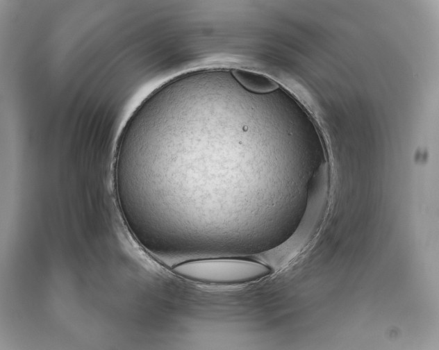 X0000093471296200710261034