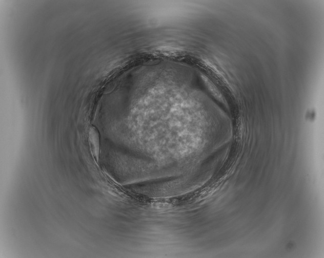 X0000093471297200710261034