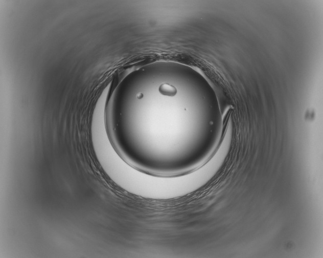 X0000093471298200710261034