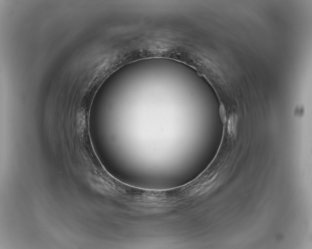 X0000093471299200710261034