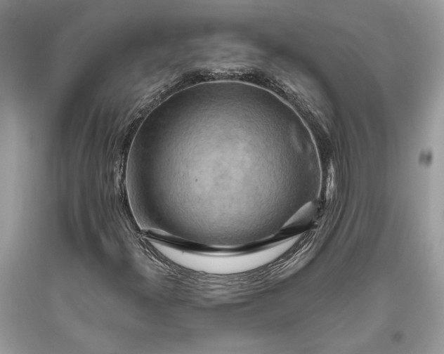 X0000093471300200710261034