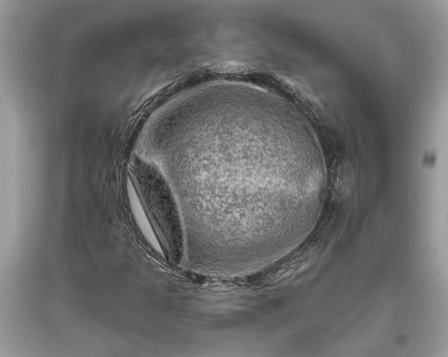 X0000093471301200710261034